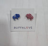 Patriotic Earrings