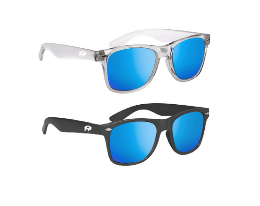Classic Polarized Sunglasses