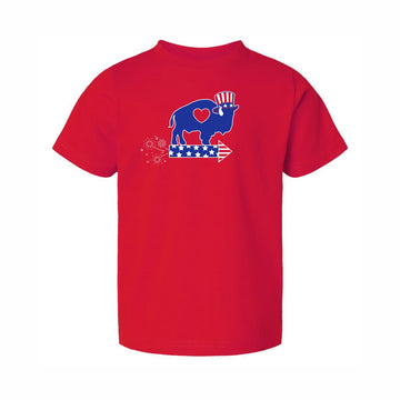 Toddler Firework T Shirt