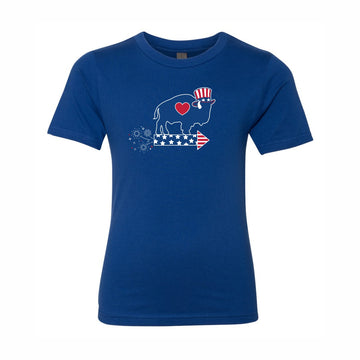Youth Firework T Shirt