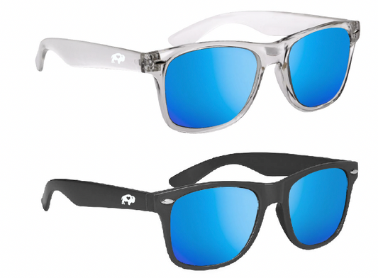 Classic Polarized Sunglasses