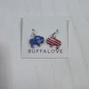 Patriotic Earrings