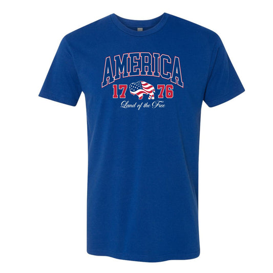 America 1776 T Shirt