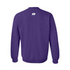 Spring Buffalo Collegiate Sweatshirts